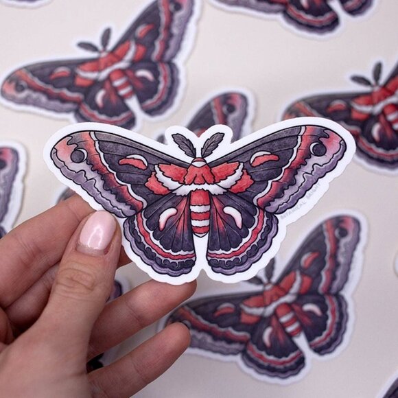3 for $15 - Cecropia Moth Sticker -‎ Waterproof Vinyl Insect & Nature Decal - Picture 3 of 6